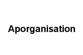 Aporganisation