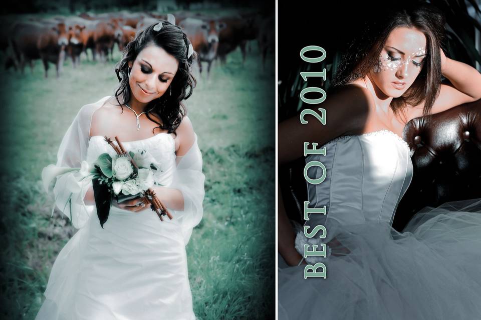 Photographe de mariage Albi 81