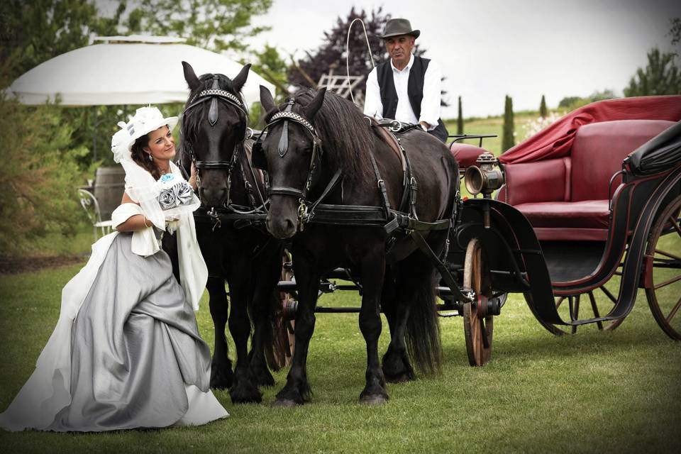 Photographe de mariage Albi 81