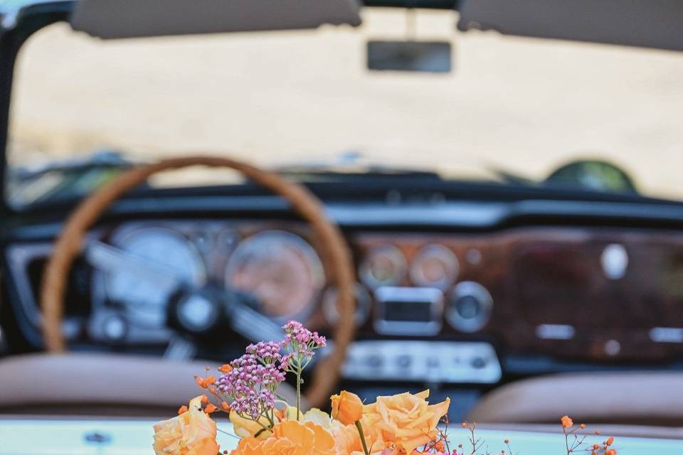 🌸