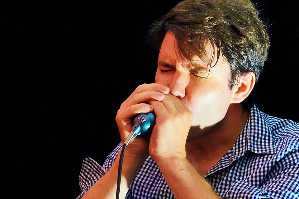 Alban: Harmonica