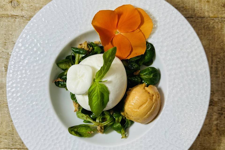 Burrata Di Buffala Sorbet MOF