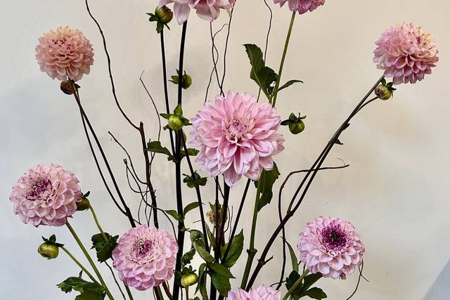 Composition florale Dahlias