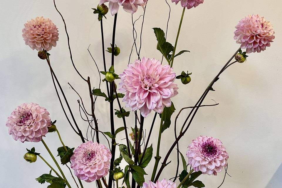 Composition florale Dahlias