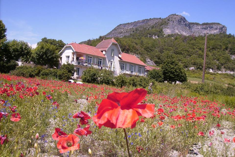 Le cadre champêtre