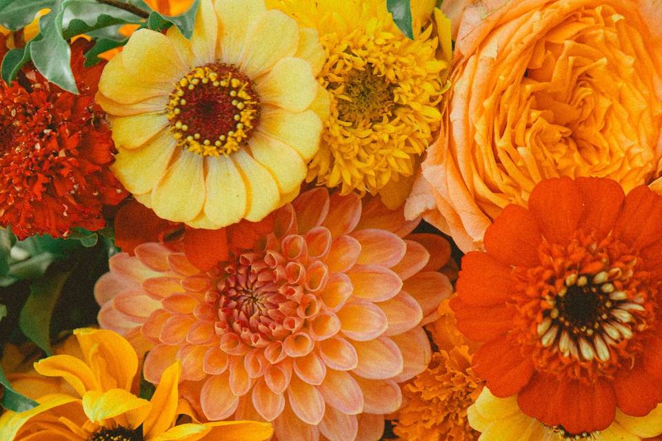 Bouquet