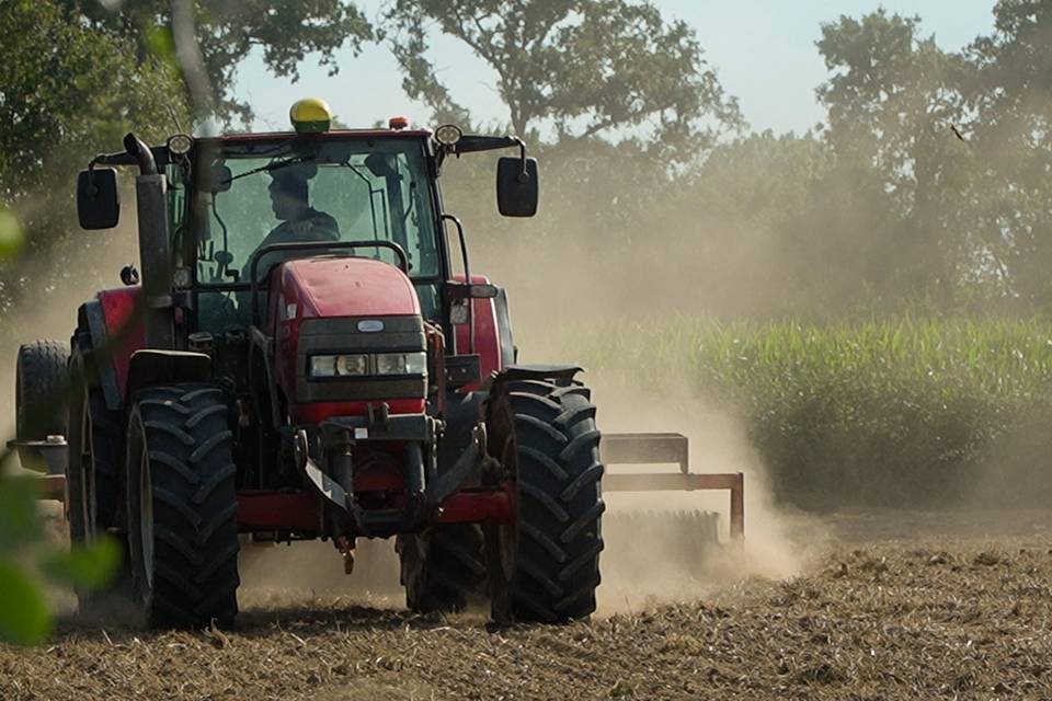 Shooting agricole