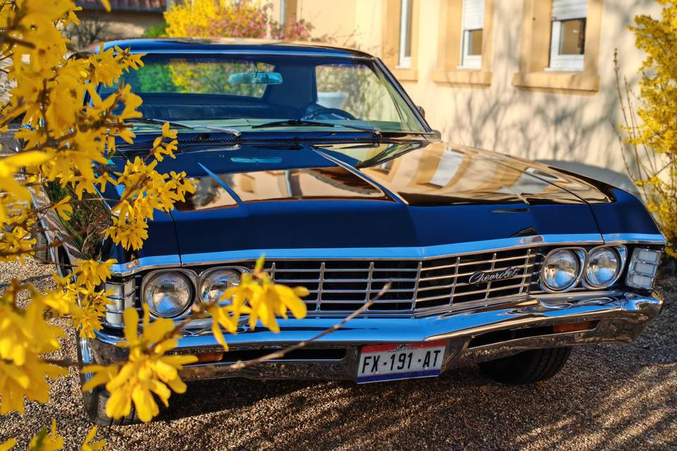 Impala67Legend