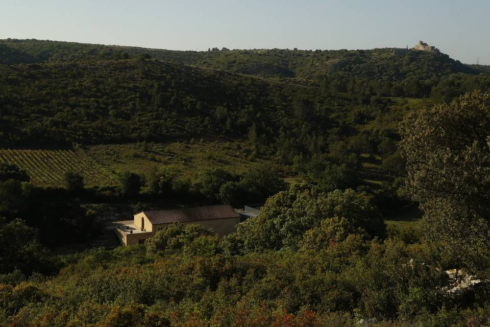 Clos de L'Amandaie