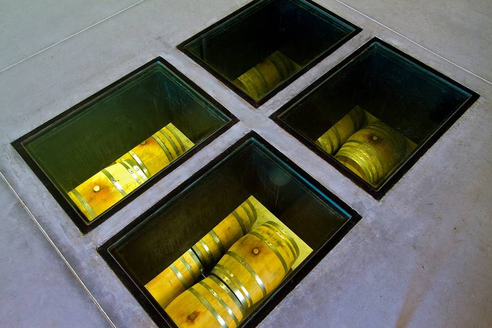 Vue sur chai à barriques