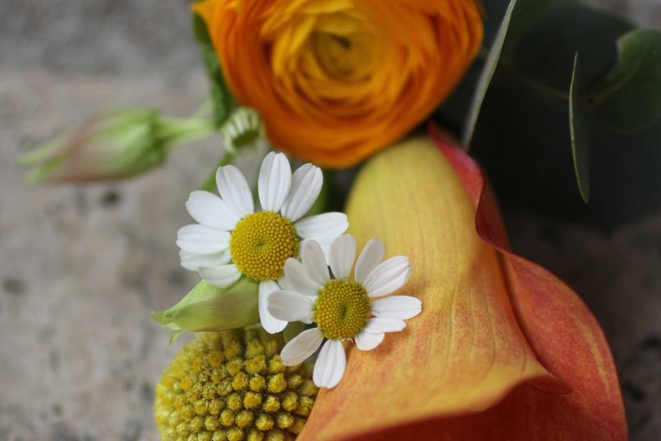 Boutonnière