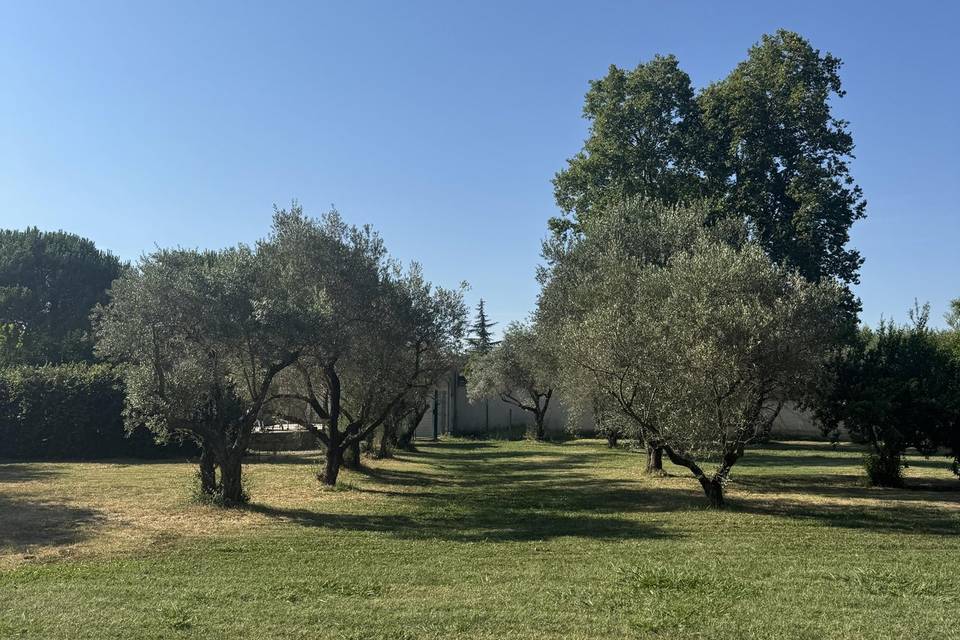 Domaine Moulin du Temple