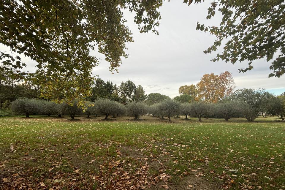 Domaine Moulin du Temple