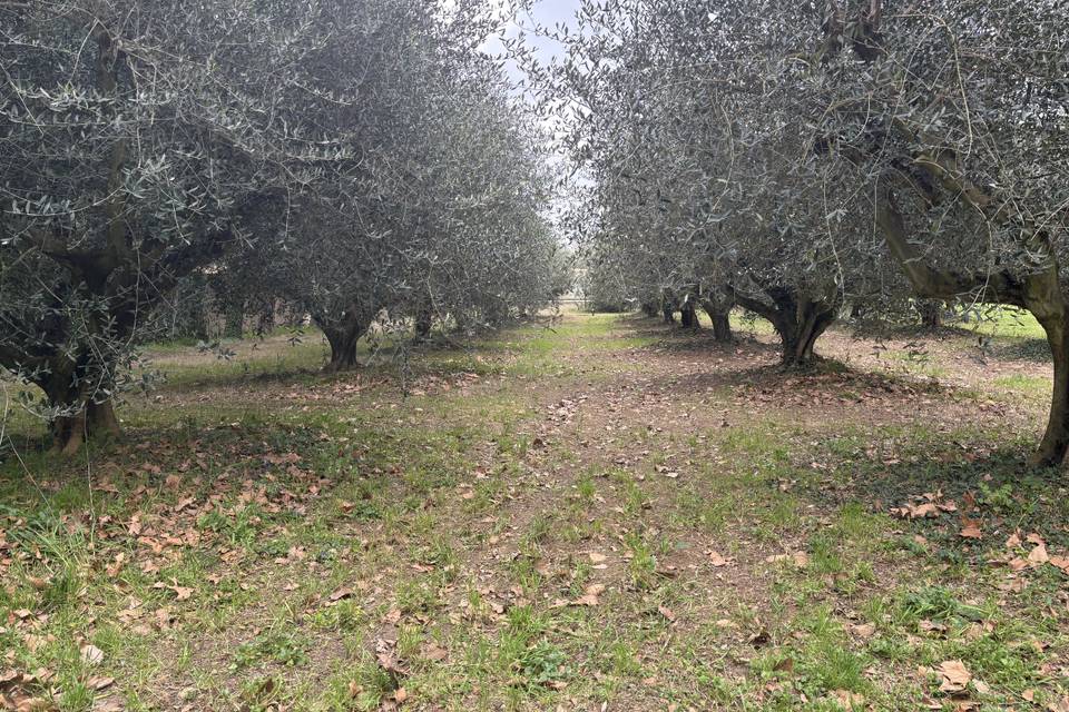 Domaine Moulin du Temple