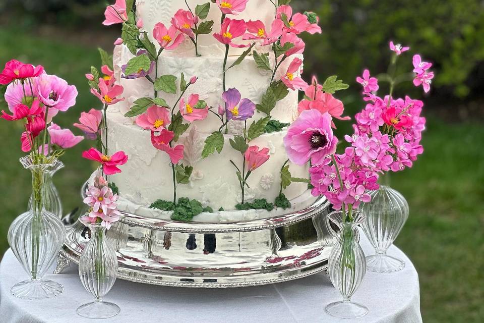 Wedding Cake Cosmos