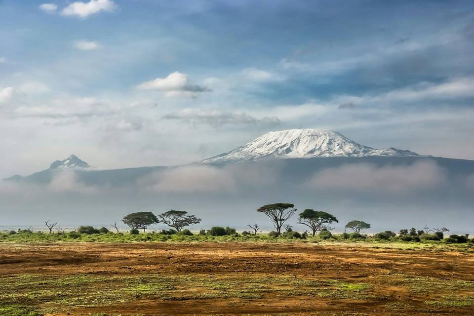 Safari en Tanzanie