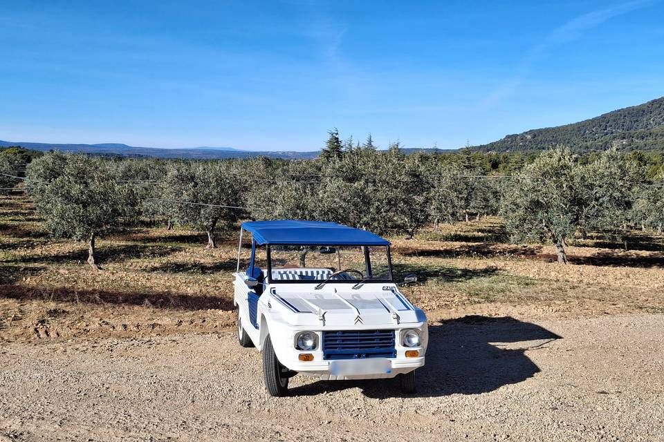 Méhari Liberty