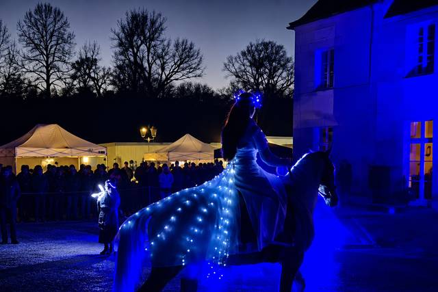 Cheval de lumière