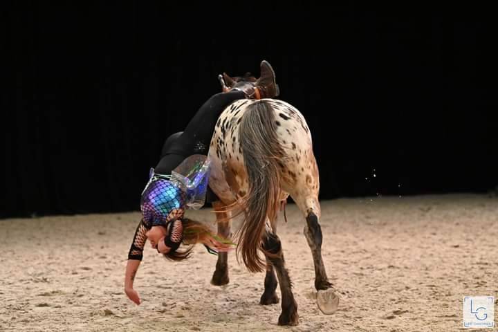 Art Equestre