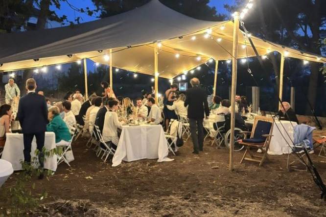 Mariage_vegetariens