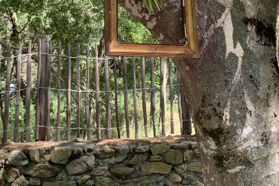Décor dans les arbres
