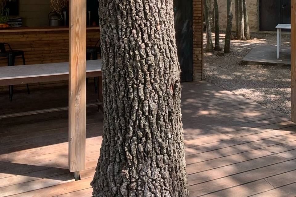 Décor dans les arbres
