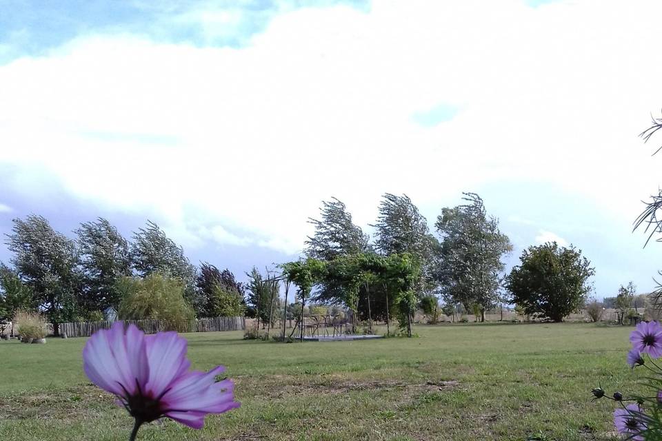 Une belle surface champêtre