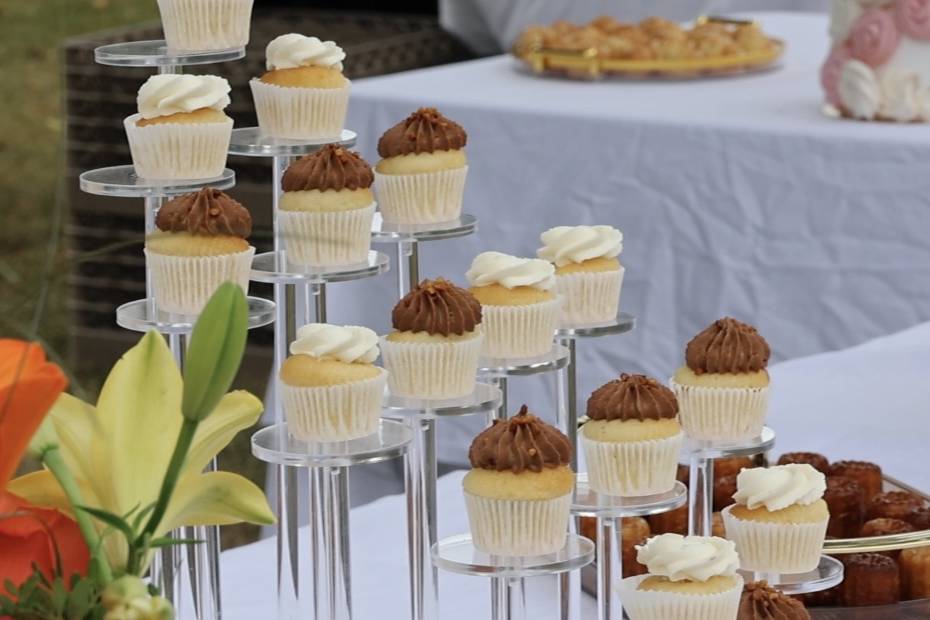 Support cup cake