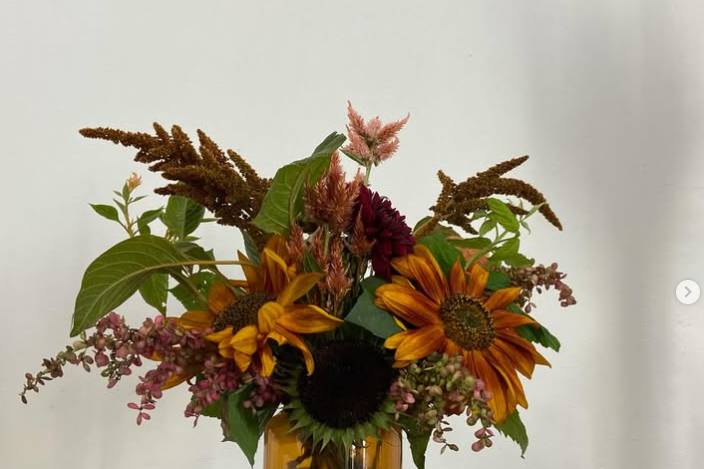 Fleurs de fin de saison