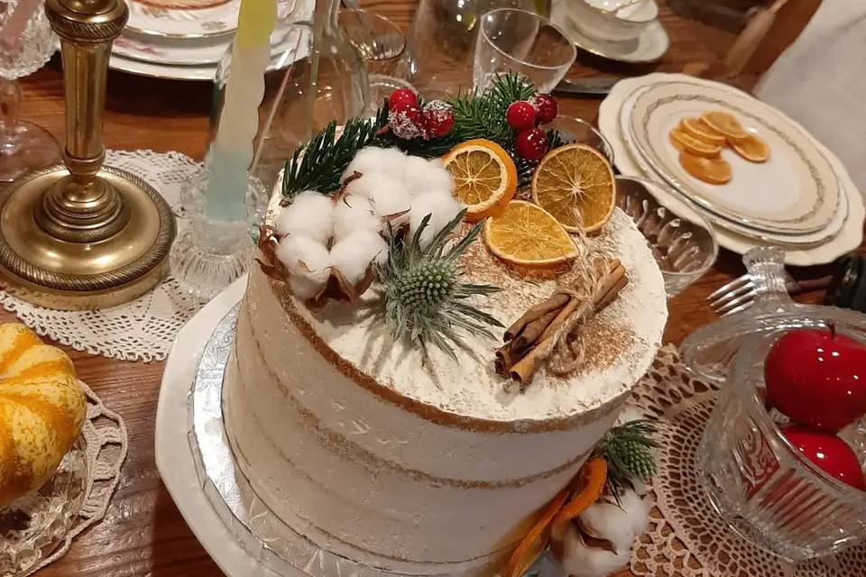 Semi-nude cake d'hiver