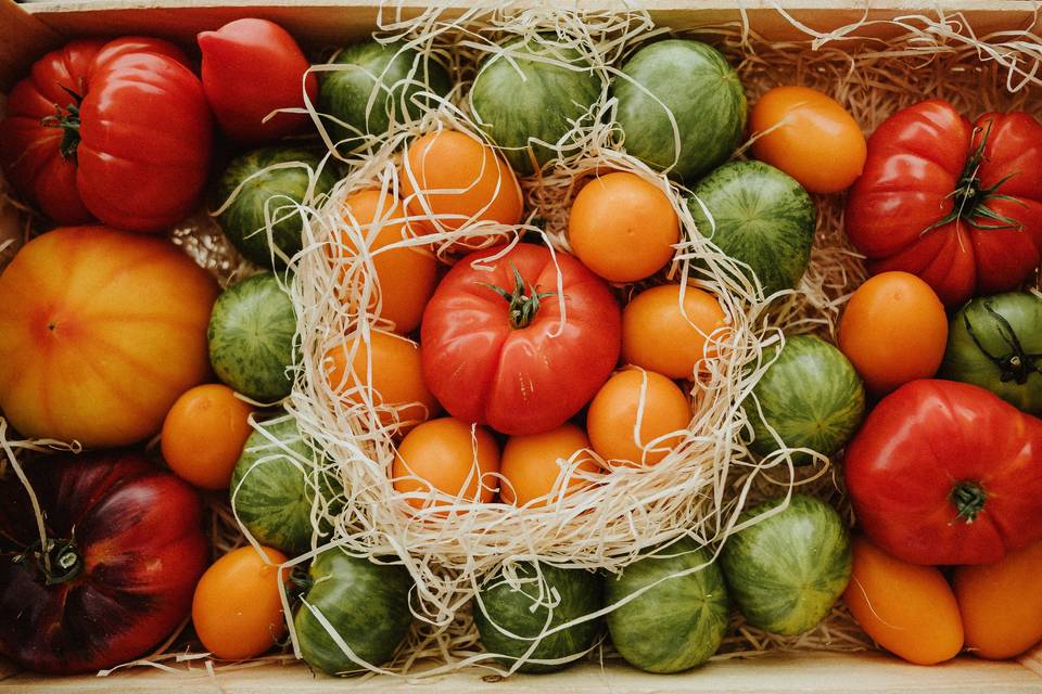 Stand Tomates anciennes