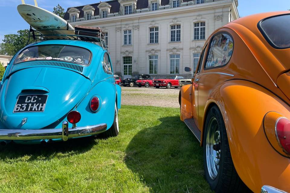 Exposition de voitures