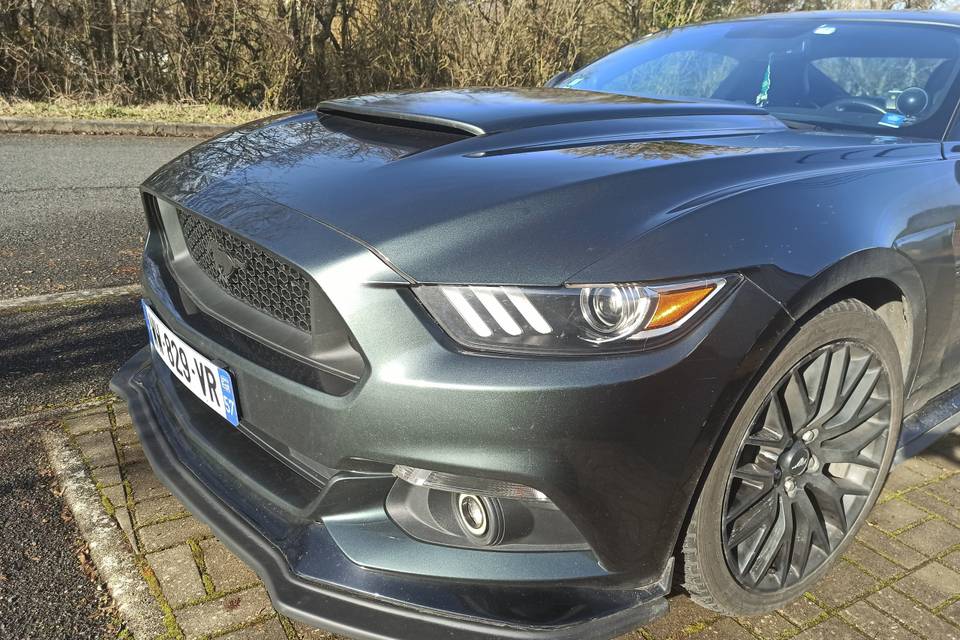 Mustang V8 450cv