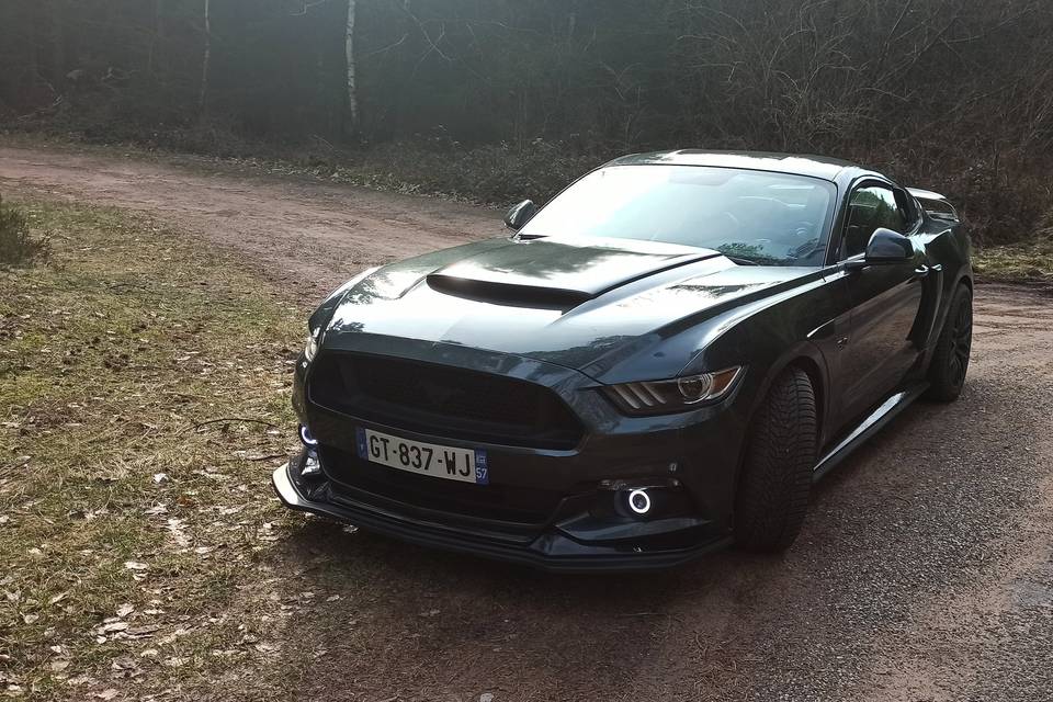 Voilà la Mustang