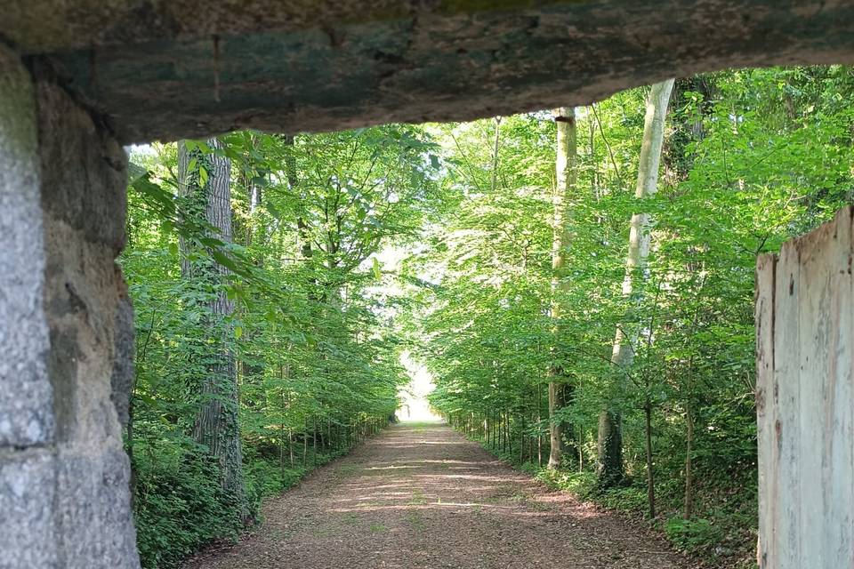 La haie des cavalier
