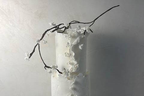 Fleurs de cerisier