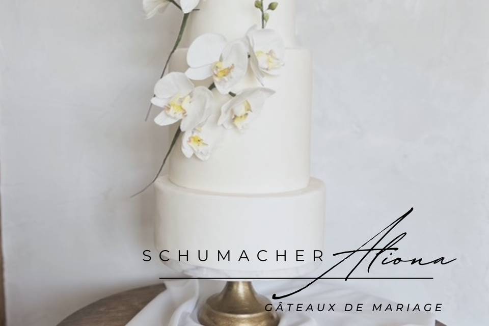 Les orchidées