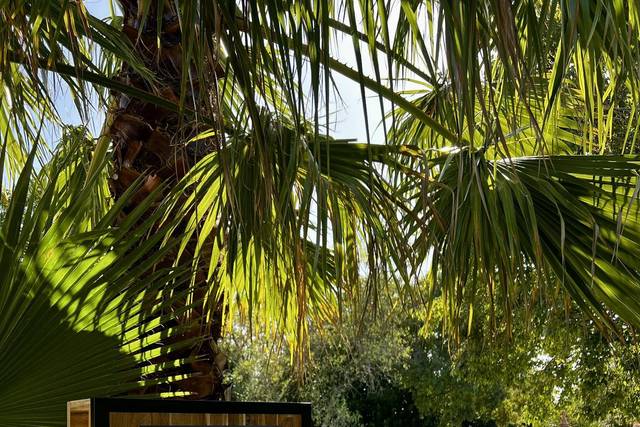 Jolis Moments by Gigi