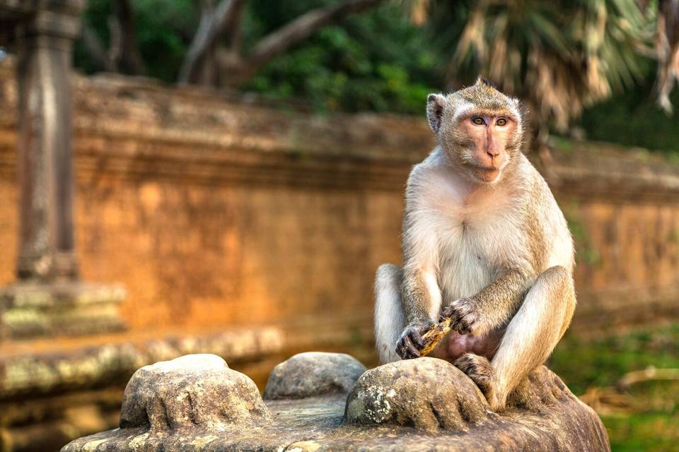 Voyage sur-mesure au Cambodge