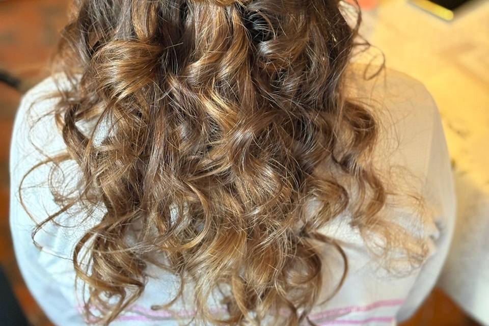 Demi attache avec deux tresse