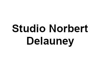 Studio Norbert Delauney