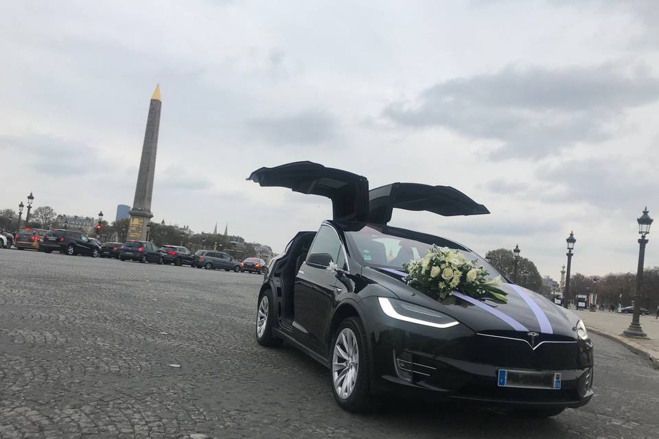 Model X Place de la Concorde