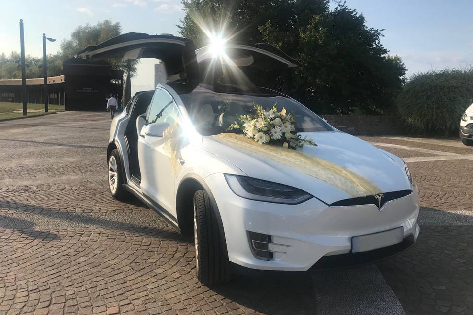 Tesla Model X + Thème Or