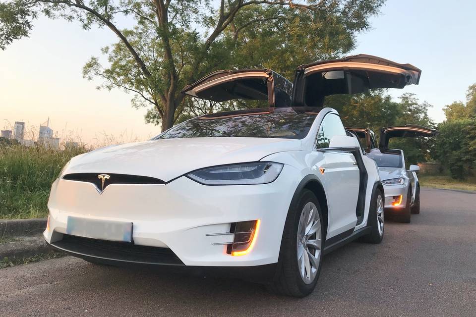 2 Tesla Model X