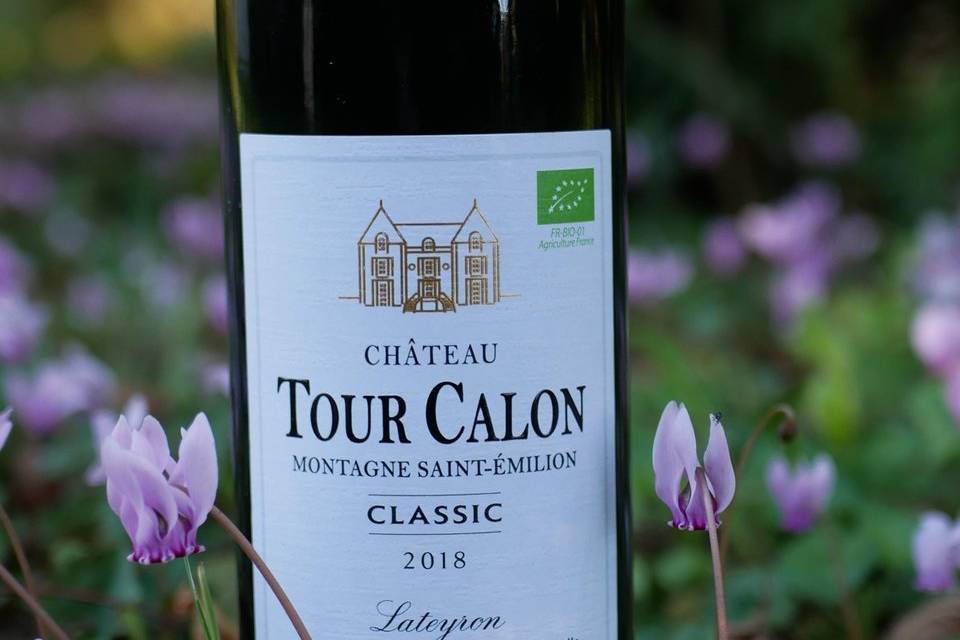 Château Tour Calon