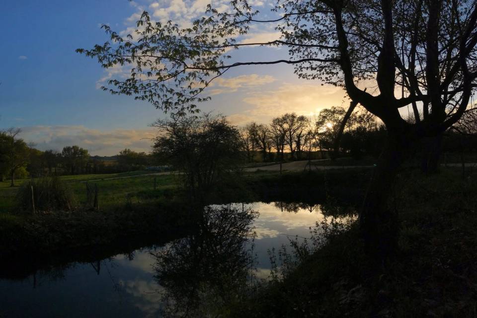 Chemin d'accès fin de journée