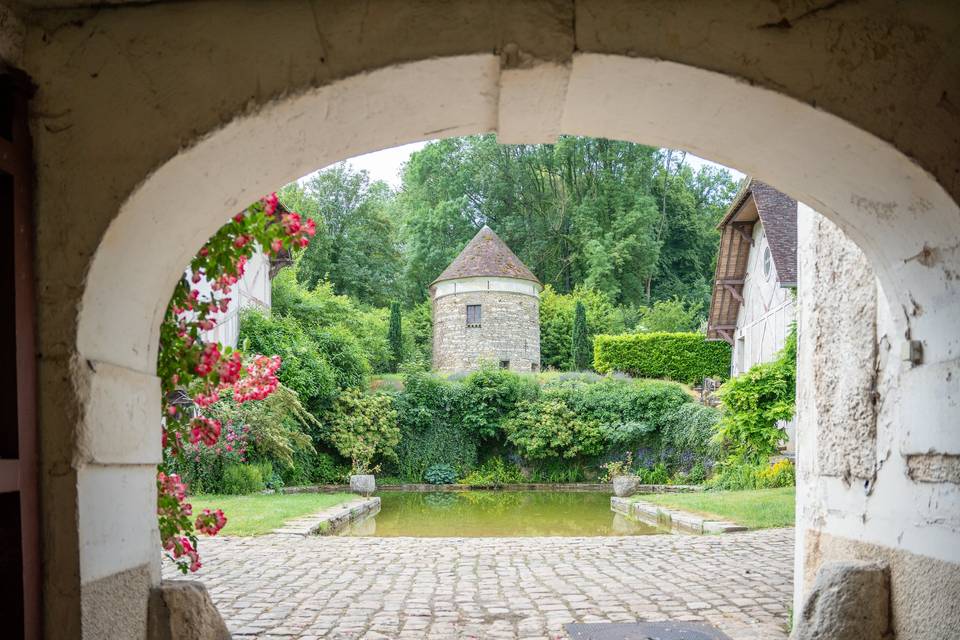 Vue dans le parc