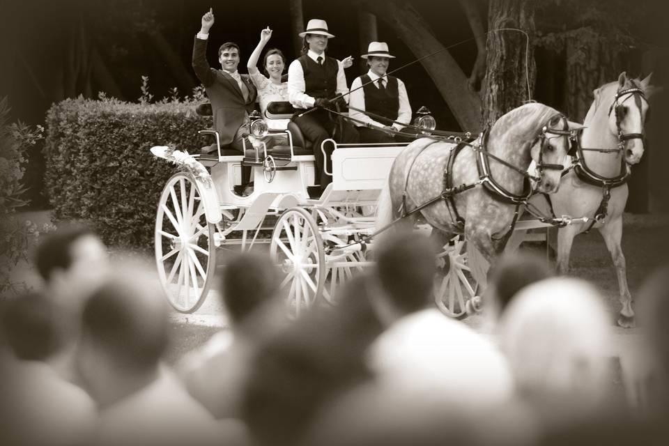 Gaston Photographe mariage