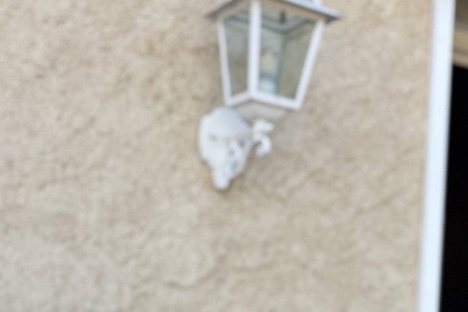 Invitée