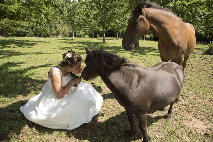 Chrystelle Morin Photographe